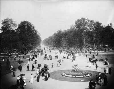 Veduta generale, Los Angeles, California, c.1880-99 da Detroit Publishing Co.